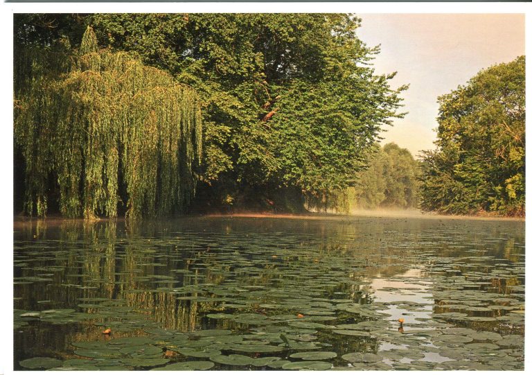 Fay-les-Etangs (Oise)